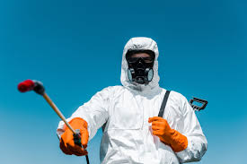 Best Real Estate Pest Inspections  in Voorheesville, NY